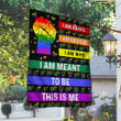LGBT Pride Flag I Am Brave This Is Me Flag Garden Flag, House Flag