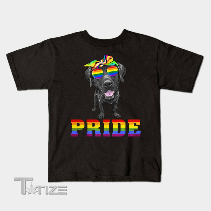 Labrador Gay Pride Flag Sunglasses Lgbt Dog Puppy Lover Graphic Unisex T Shirt, Sweatshirt, Hoodie Size S - 5XL