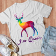I'm Queer Funny Lgbt Rainbow Gay Pride Month  Gift Graphic Unisex T Shirt, Sweatshirt, Hoodie Size S - 5XL