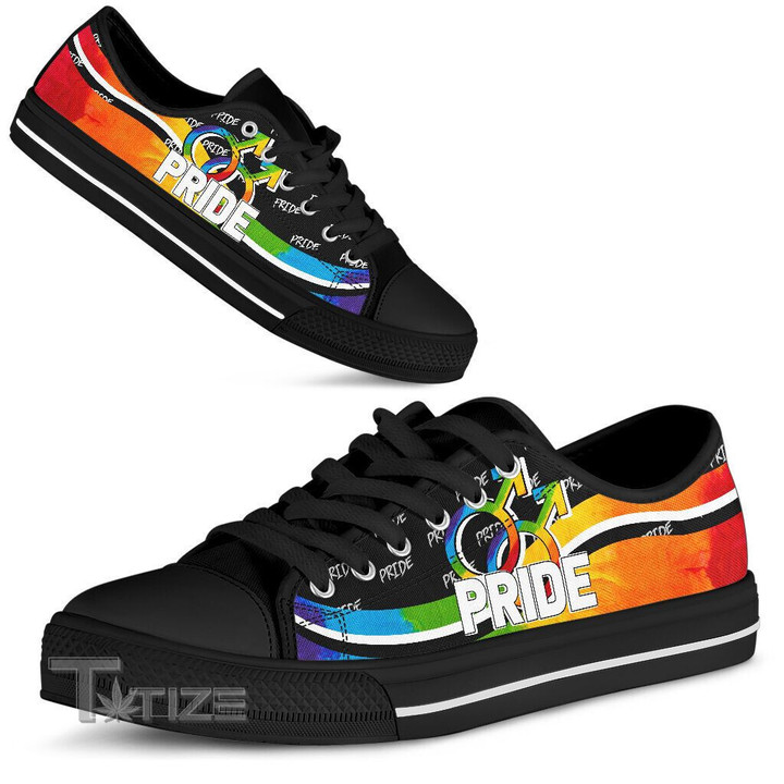 LGBT Pride Rainbow Low Top Canvas Shoes