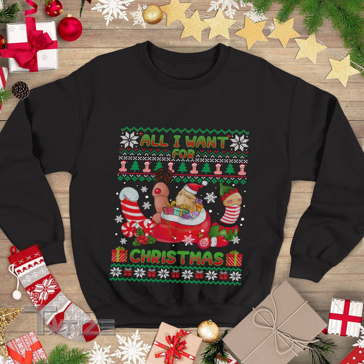 All I Want for Christmas Shirt Ugly Christmas Sweatshirt Graphic Unisex T Shirt, Sweatshirt, Hoodie Size S - 5XL
