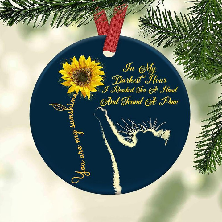Cat You Are My Sunshine Circle Ornament Blue Background