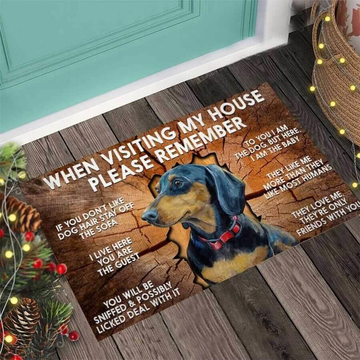 When Visiting My House Please Remember Lovely Dog Cracked Background Doormat Home Decor
