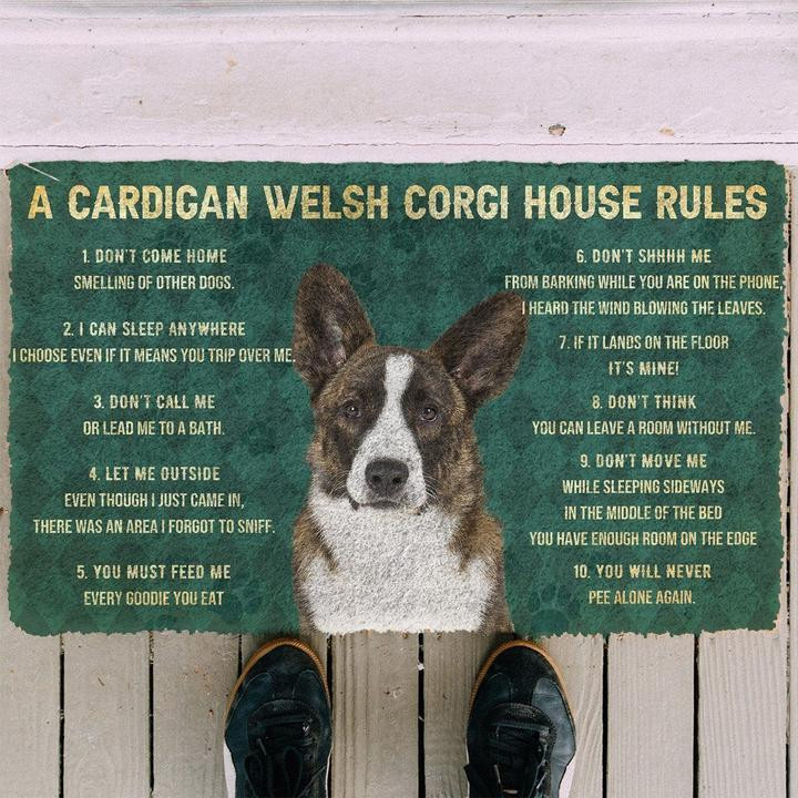 Cardigan Welsh Corgis Rules Funny Vintage Harlequin Design Doormat Home Decor