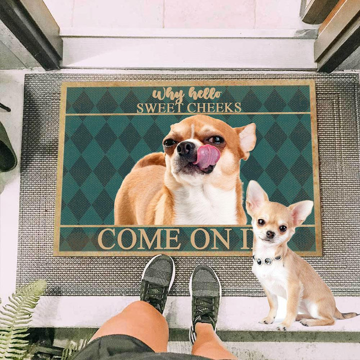 Green Checkered Design Funny Chihuahua Dog Come On In Doormat Home Decor