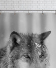 The Wolf Shower Curtain Artwork Print Waterproof  Custom Design  High Quality Meaningful Gift