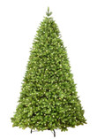 9' Royal Fir Quick-Shape Artificial Unlit Christmas Tree Home Decor