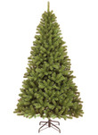 15' Memphis Spruce Artificial Unlit Christmas Tree Home Decor