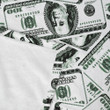 Hundred Dollar Bill Money Printed Fleece Blanket