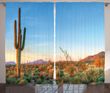 Cactus Sunset Landscape Window Curtain Door Curtain