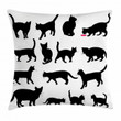 Black Kittens Pets Paws Art Printed Cushion Cover