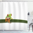 Tropic Wild Rainforest Frog Pattern Shower Curtain Home Decor