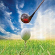 Shower Curtain Golf Ball Sports 3d Printed