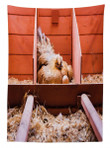 Hen In Cage With Eggs Printed Tablecloth Home Decor