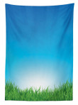 Sunburst Stripes With Grass Printed Tablecloth Home Decor
