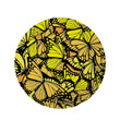 Brilliant Yellow Monarch Butterfly Round Rug Home Decor