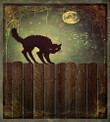 Halloween Angry Aggressive Cat On Old Wood Fences Duvet Cover Bedding Set Bedroom Decor