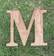 Letter M Wooden Stained Letter Wooden Custom Door Sign Home Decor