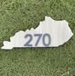 270 And 812 Number Wooden Custom Door Sign Home Decor With Bow