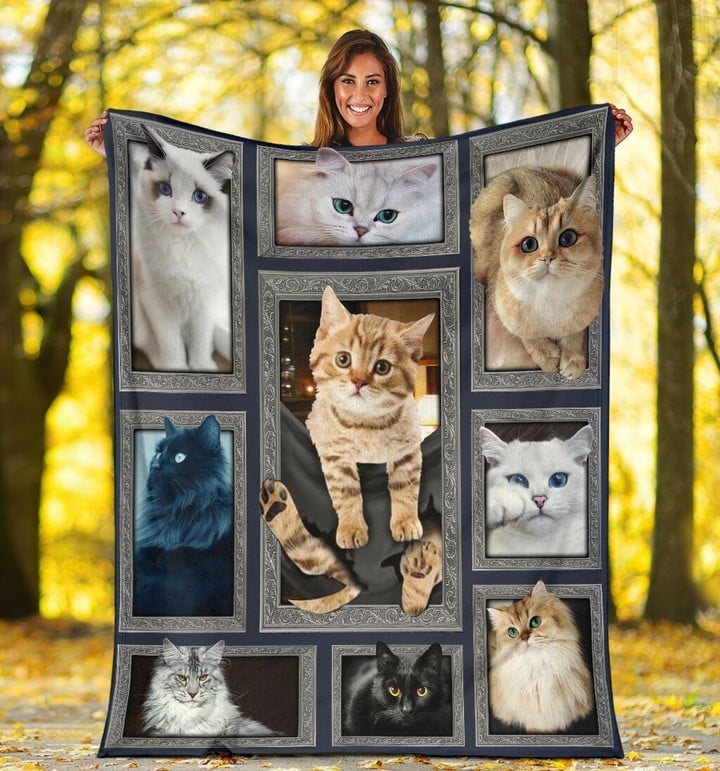 Cat Lover 3d Funny Cat Pocket Printed Fleece Blanket