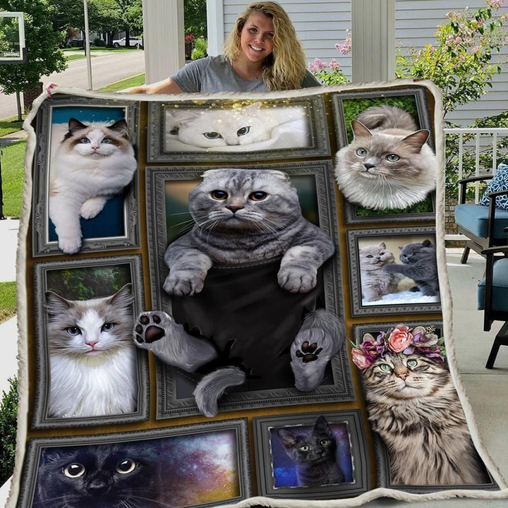 3d Huge Cat Custom Design Fleece Blanket Gift For Cat Lovers