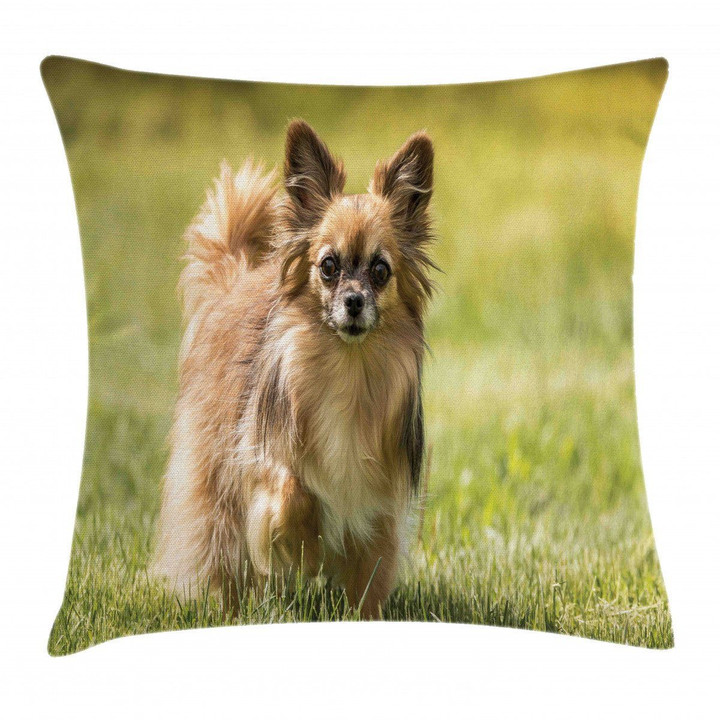 Long Haired Small Dog Printed Cushion Cover Home Decor