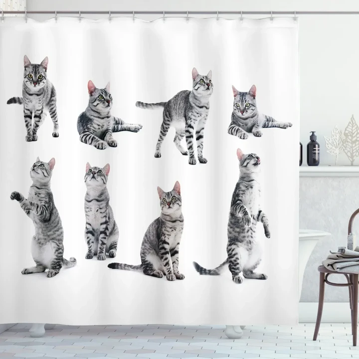 Striped Furry Animal Posing Moments Pattern Printed Shower Curtain Home Decor