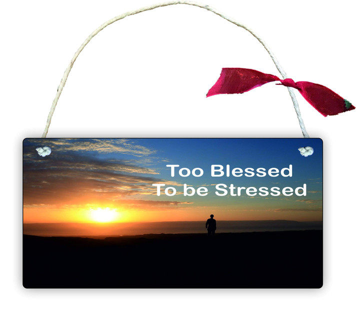Wooden Rectangle Door Sign Home Decor Too Blessed To Be Stressed