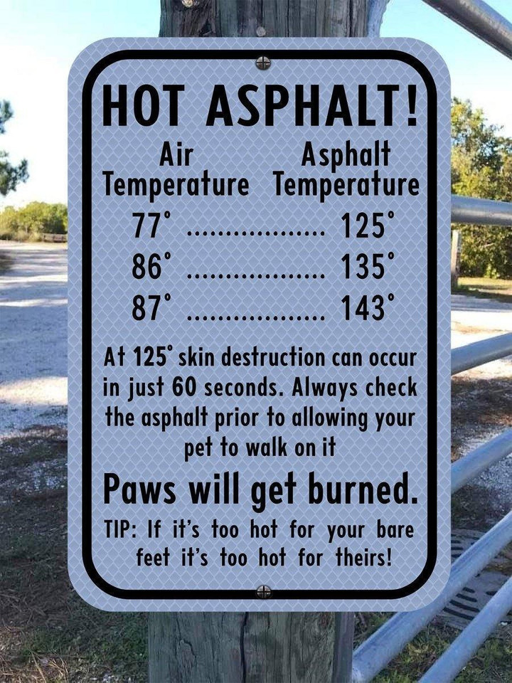 White Theme Hot Asphalt Paws Will Get Burned Rectangle Metal Sign