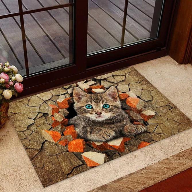 Peeking Cat In Cracked Ground Design Doormat Home Decor