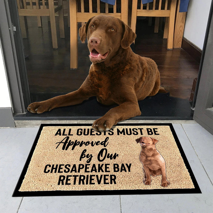 Funny Dog Our Chesapeake Bay Retriever Pattern Doormat Home Decor