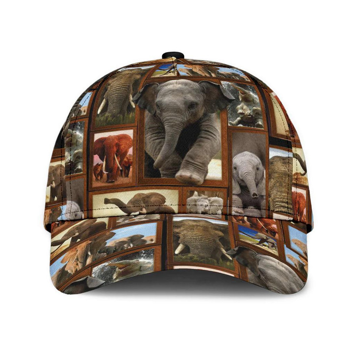 Elephant Pictures In Frames Classic Baseball Cap