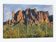 Saguaro Cacti And Superstition Mountains, Lost Dutchman State Park, Arizona II