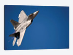 An F-22 Raptor Aircraft Performs During Aviation Nation 2010