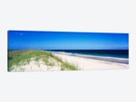 Coastal Landscape, Cape Hatteras National Seashore, Outer Banks, North Carolina USA