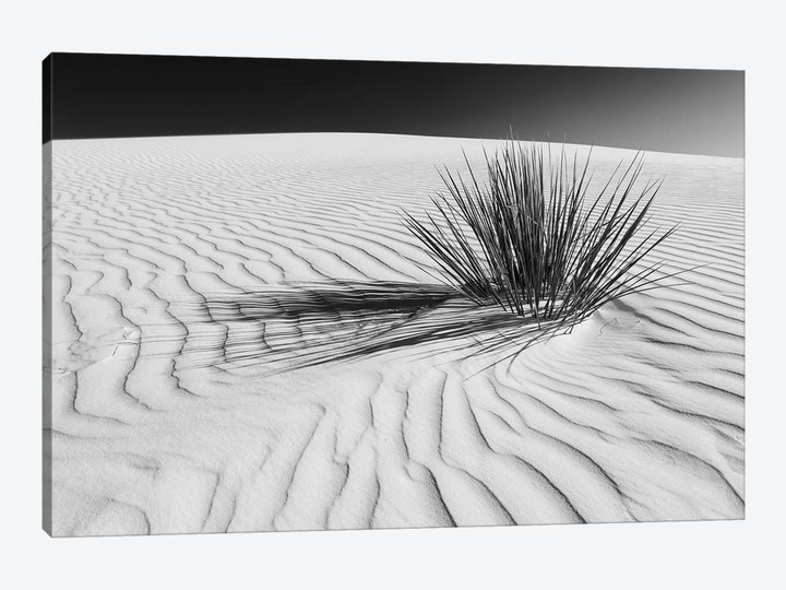 White Sands Scenery In Black & White
