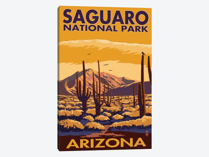 Saguaro National Park (Desert Landscape)