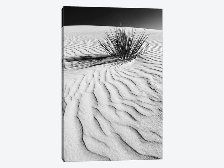White Sands Dune In Black & White