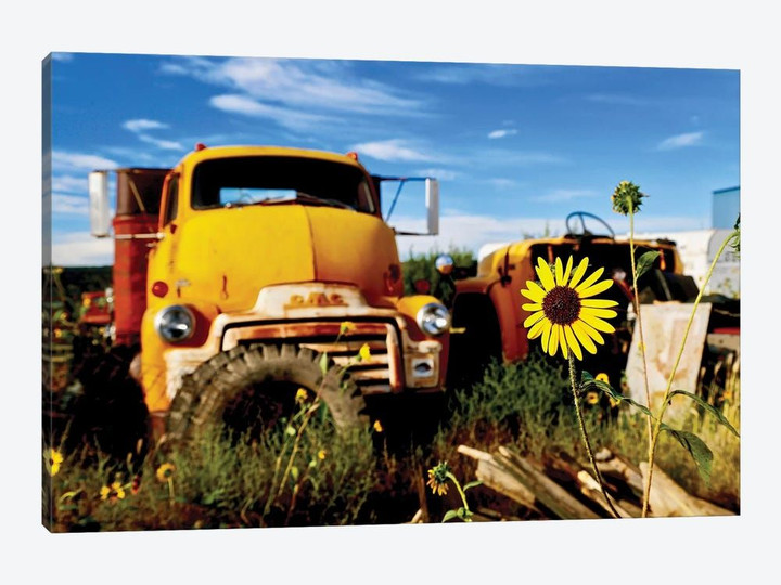 Yellow Daisy With Truck