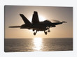 An F/A-18F Super Hornet Takes Off Into The Morning Sun Over The Arabian Sea