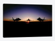 Silhouette Of The F-22 Raptor