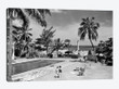 1930s-1940s Swimming Pool National Hotel With View Towards Maine Monument Havana Cuba