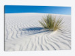 White Sands Scenery