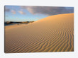 Sand Dune, Monahans Sandhills State Park, Texas
