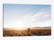 Nevada Desert Sunrise V