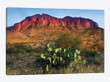 Chisos Mountains with Prickly Pear Cactus IV