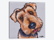 Levi The Airedale Terrier