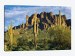 Saguaro Cacti And Superstition Mountains, Lost Dutchman State Park, Arizona I
