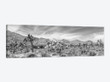 Scenic Monochrome Panorama - Joshua Tree National Park