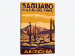 Saguaro National Park (Desert Landscape)